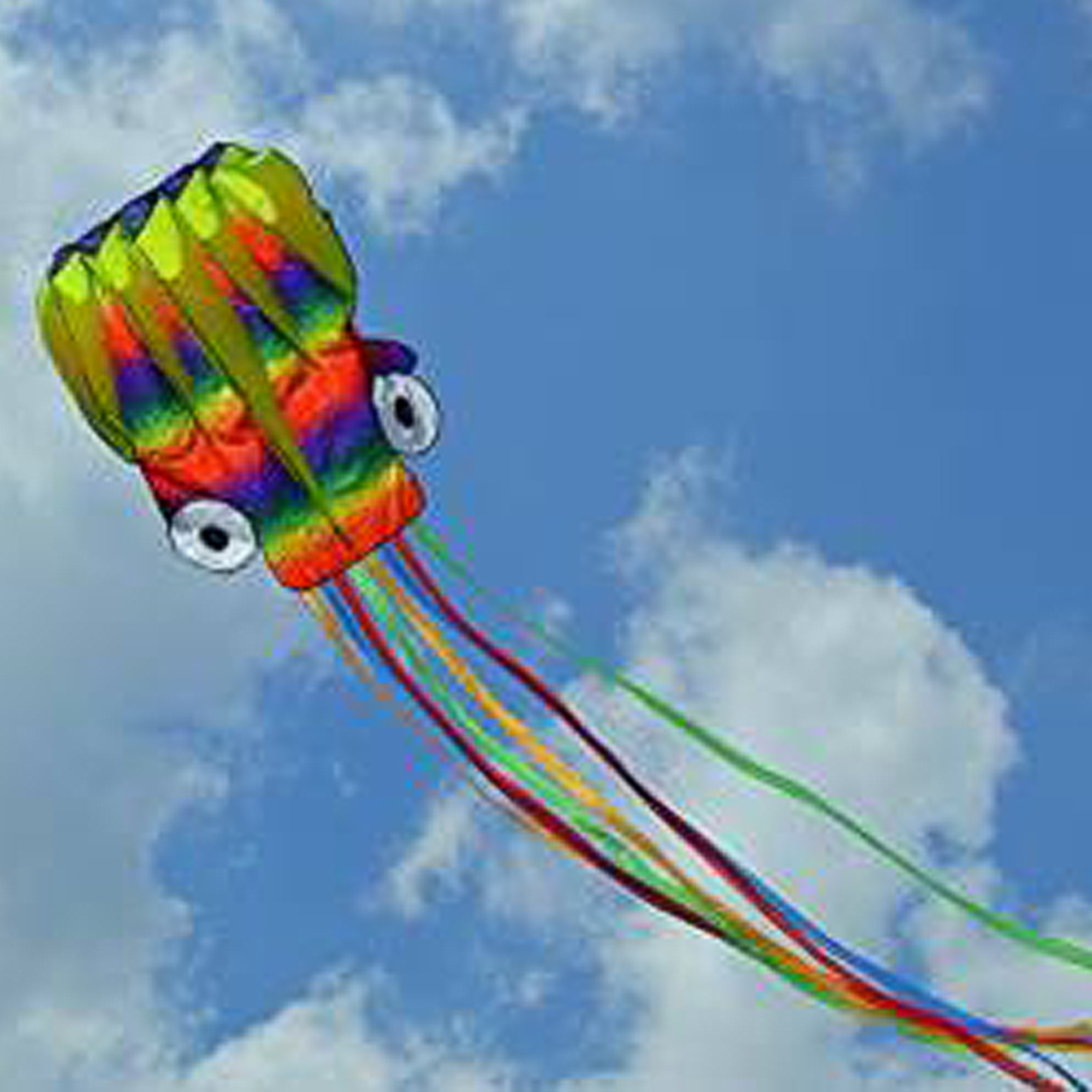 Great for Summer Funy Loutytuo LOUTY Big Rainbow Octopus Outdoor Kite for Kids and Adults Includes Kite Line and Bag