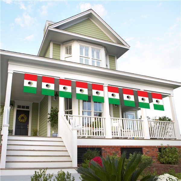 Mexican Flag Banner Cinco De Mayo Party Decorations