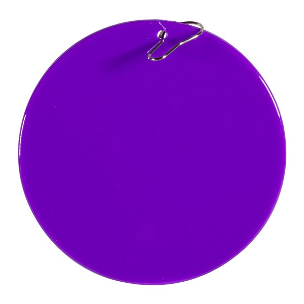 Purple Plastic Medallion â€“ 2.5"