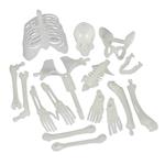 Box O' Bones | Build Your Own Glowing Skeleton Toy