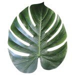 Tropical Palm Leaves - 4 Per Unit