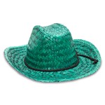 Colorful Straw Cowboy Hats
