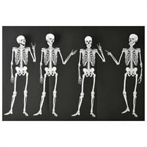 Skeletons Backdrop