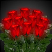 LED Red Roses