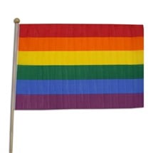 Rainbow Pride 12" x 18" Cloth Flags