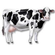 Cow Jointed Cutout