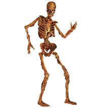 Scary Skeleton Jointed Cutout
