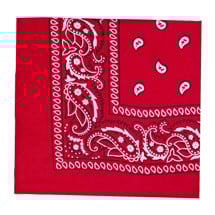 Red 21" Paisley Bandanas