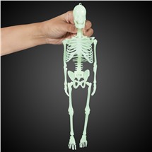 Glow Skeleton Bones