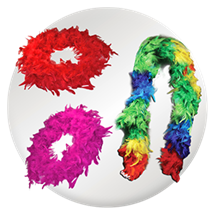 Feather Party Boas Image