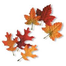 Fall Theme Party Supplies & Decorations Image