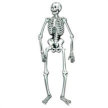 Skeleton Jointed Cutout