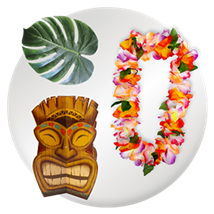 Luau & Hawaiian Party Supplies Image