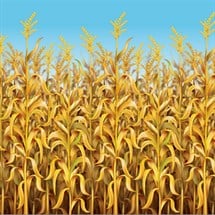 Cornstalks Room Roll