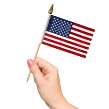 American 4" x 6" Cloth Flags