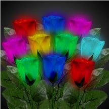 LED Multi-Color Roses