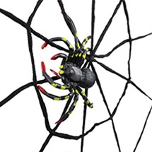 Halloween Spiders Image