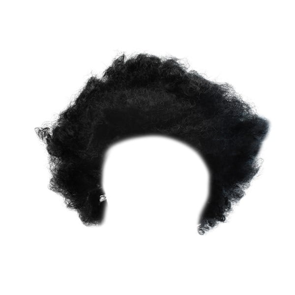 Black Afro Costume Wig