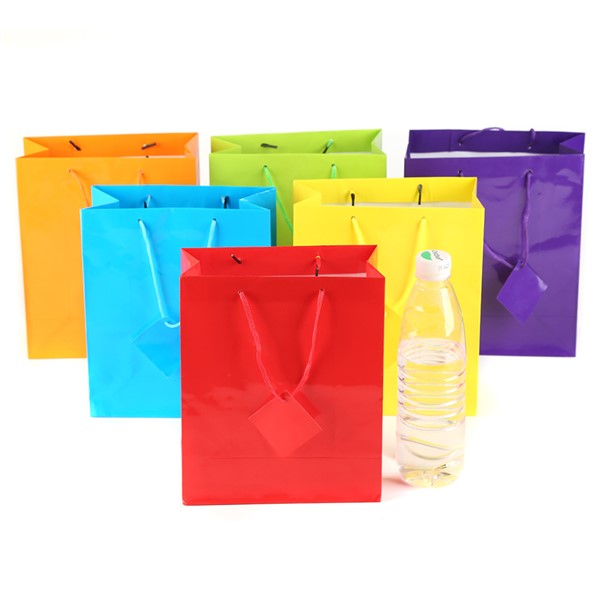 Neon Paper Gift Bags - 24 pack
